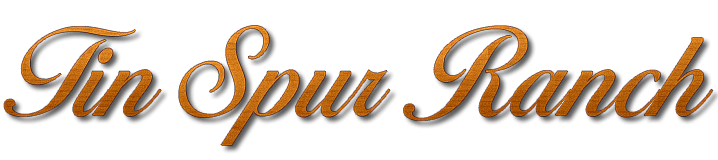 Tin Spur Ranch | Wedding & Special Event Center Venue for Victoria TX